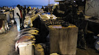 Mercato del pesce