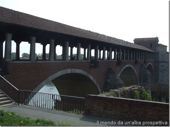 Pavia - ponte