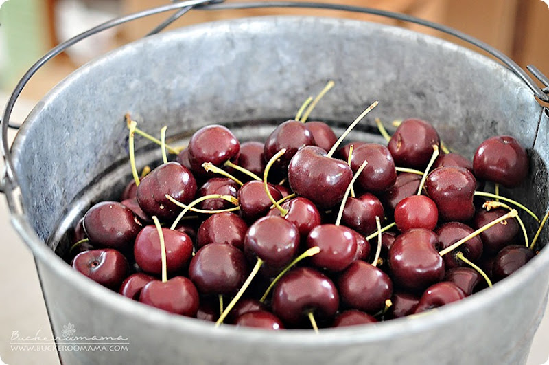 Red-cherries-(2) Red-cherries-(2)