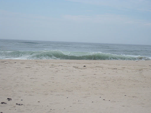 Scenery shot #1.