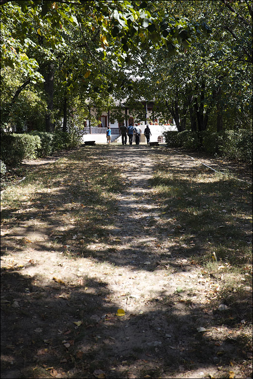 IMG_4125.jpg