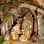 1455-1.JPG