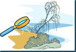 soil test dead plant soil test dead plant