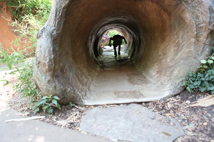 Zoo 10