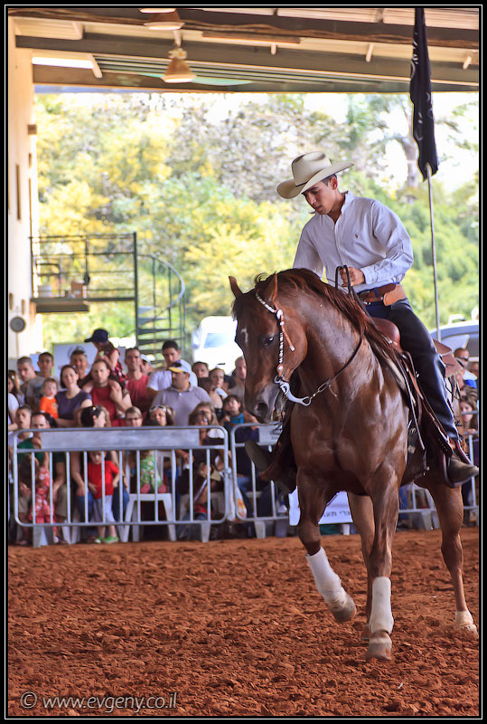 il/Фото: Stallion Show 2011 (20110416 stllion show 060 2231)