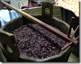 Mosto Mosto