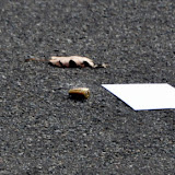 News_111114_ShotsFired- Oak Park