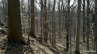 2011-02-18_14-11-56_521.jpg 2011-02-18_14-11-56_521.jpg