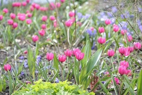 claus_20100425_131949