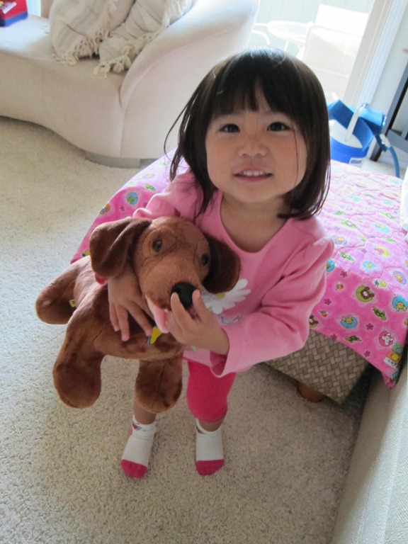 [wk120_puppy1%255B3%255D.jpg]