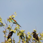 IMG_6074.JPG