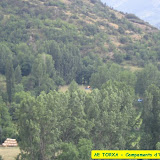 camp2007-100.jpg