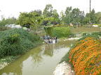 p1300354914(3).jpg