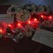 IMG_2873.JPG