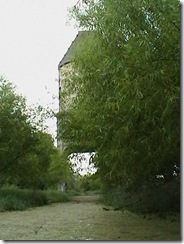 IMGA0371 IMGA0371
