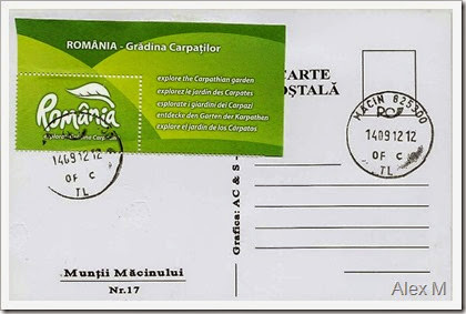 Macin-verso_PB Macin-verso_PB