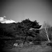 20090416_02-Edit.jpg