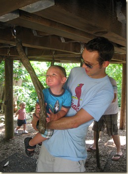 IMG_6017 IMG_6017