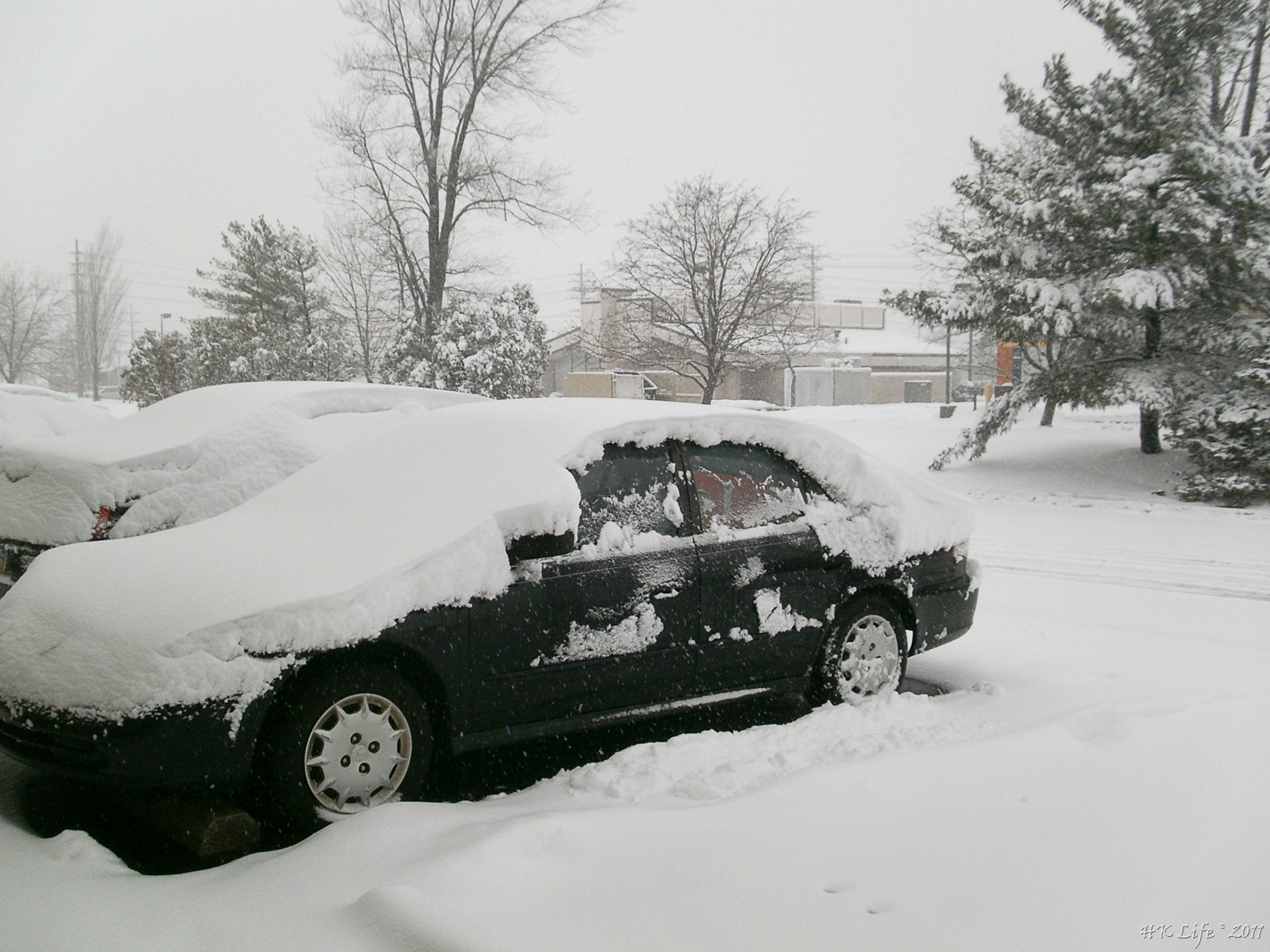 [P3110322%255B3%255D.jpg]