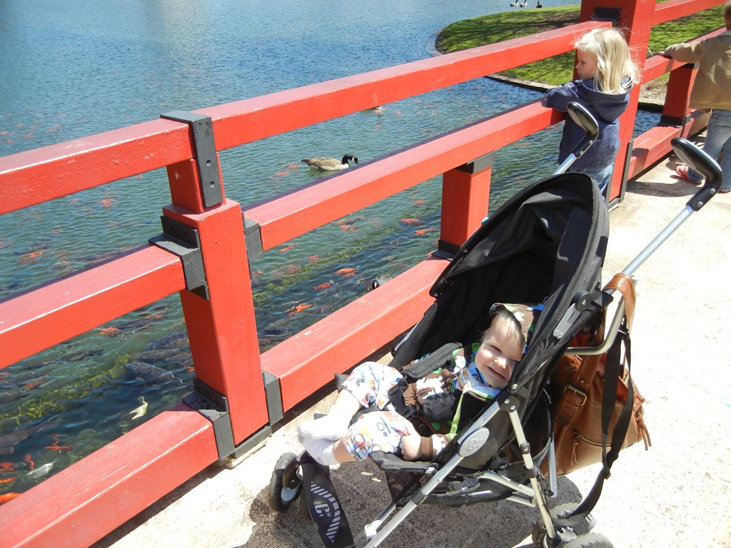[DSCN4825.jpg]