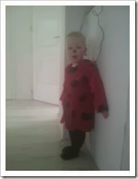 Mats lieveheersbeestje Mats lieveheersbeestje