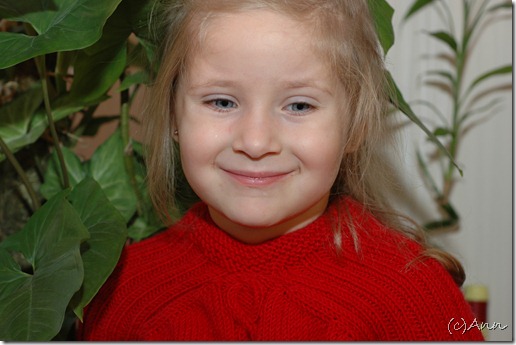 DSC_7731 DSC_7731