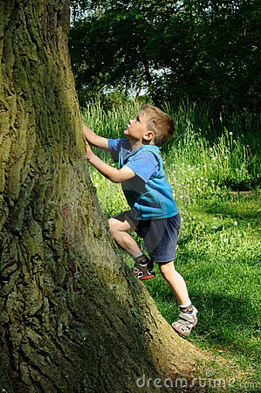 [child-climbing-tree%255B6%255D.jpg]