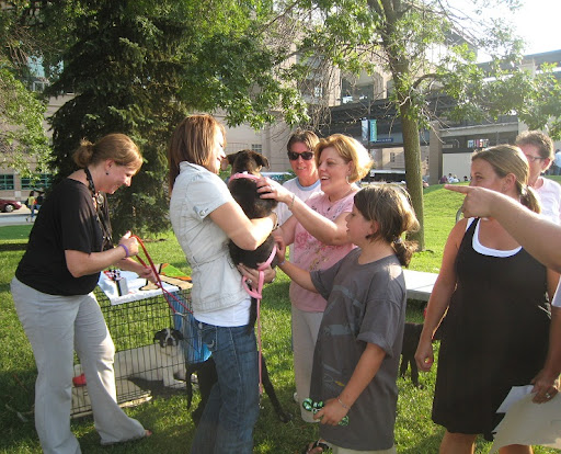 Jamie hands a puppy to his new family...such a beautiful, exciting moment! This family drove a long way to adopt their dog at Sox For Strays. Jamie hands a puppy to his new family...such a beautiful, exciting moment! This family drove a long way to adopt their dog at Sox For Strays.