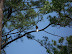 Jamestown Settlement in May