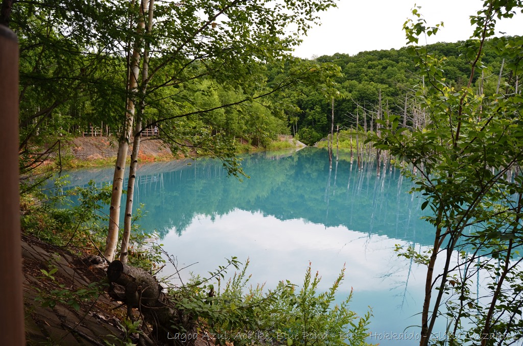 [Lagoa%2520Azul%2520-%2520Biei%2520-%2520Hokkaido%2520-%2520Gl%25C3%25B3ria%2520Ishizaka%2520-%252035%255B3%255D.jpg]