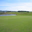 Number 8 green.jpg Number 8 green.jpg
