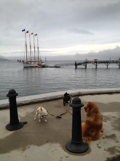 The four masts carry a total of nine sails. The large sails are called, from front to back, the foresail, mainsail, mizzensail, and spankersail, which are also the names of the masts. The four masts carry a total of nine sails. The large sails are called, from front to back, the foresail, mainsail, mizzensail, and spankersail, which are also the names of the masts.