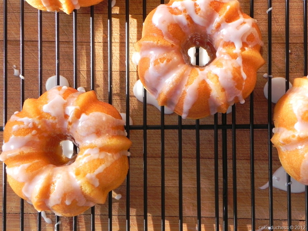 [orange-yogurt-mini-bundt-cakes-11%255B1%255D.jpg]