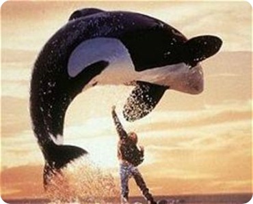 free_willy