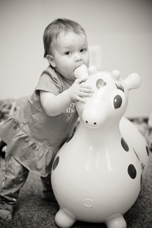 [20120113-IMG_0586%255B3%255D.jpg]