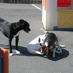DSCN2444.jpg