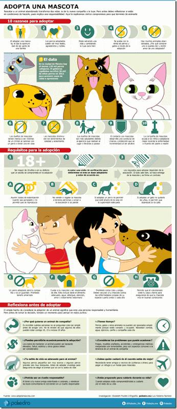 infografia adopacion de mascotas
