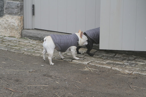 There's only one other place where they can be.  Let's go into the stable.