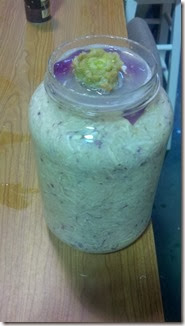 fermented turnips
