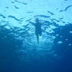 Under Sea in Egypt July 2008 208.JPG