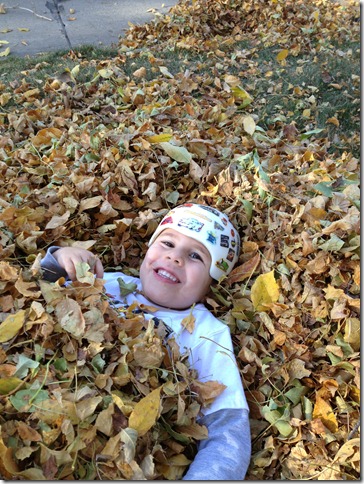 fall2012 197