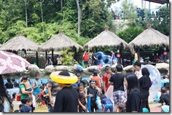 IMG_5521 IMG_5521