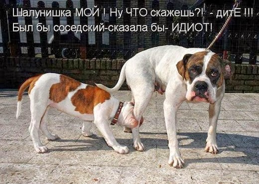 [kotomatrix_0201%5B3%5D.jpg]