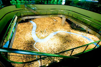 Scale model of Shanghai 2020 vision at Shanghai Urban Planning Museum (Photo from Brandon, Neatorama Website)