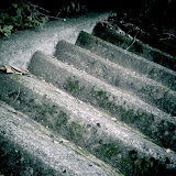1307591383904.jpg 1307591383904.jpg
