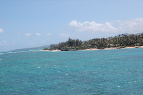 DSC_1197.JPG