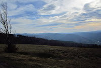IMG_0338.JPG