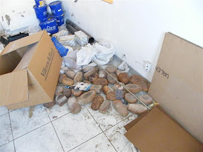 DSCF0982.JPG