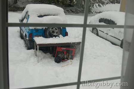 troy bilt generator