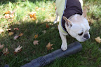 Let's see here - this big tube is where the air blows out.